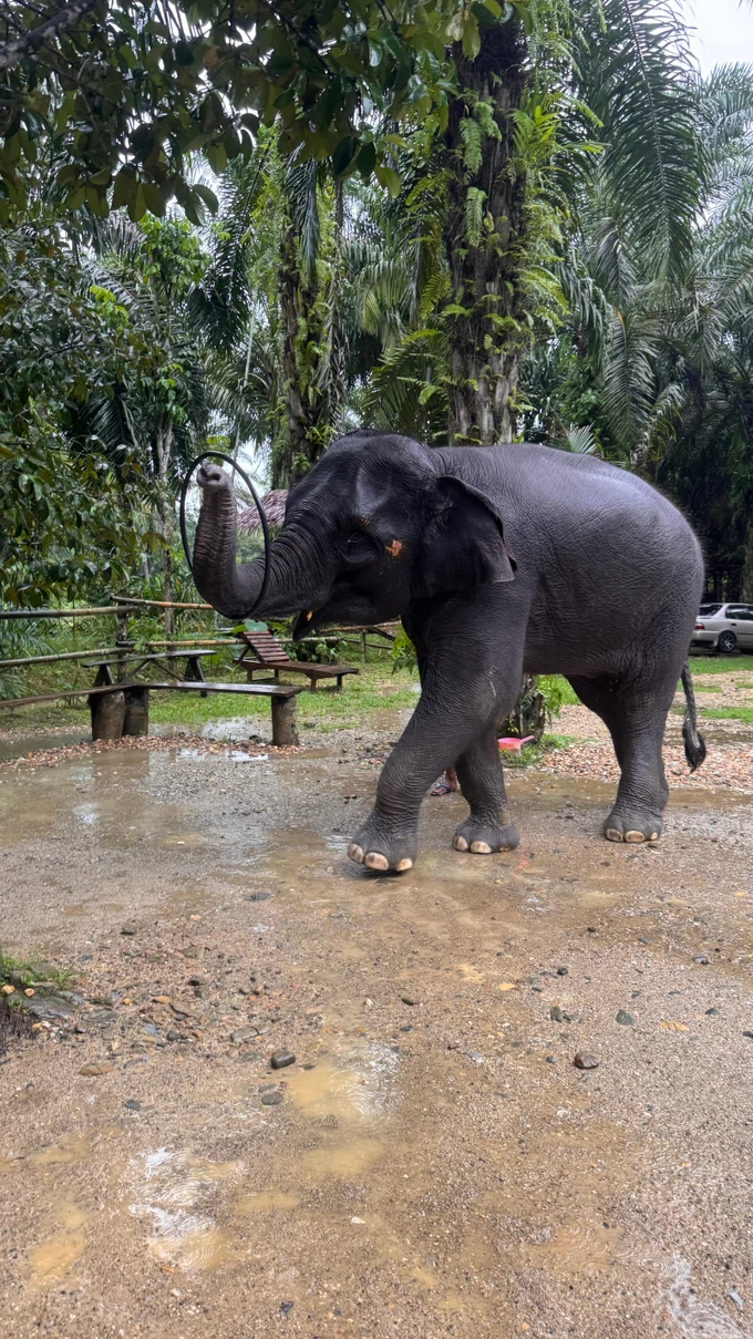 Сафари, после которого дети забудут про телефоны