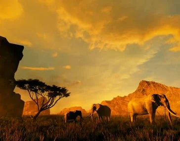 Восточная и Южная Африка