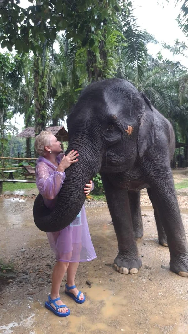 Сафари, после которого дети забудут про телефоны