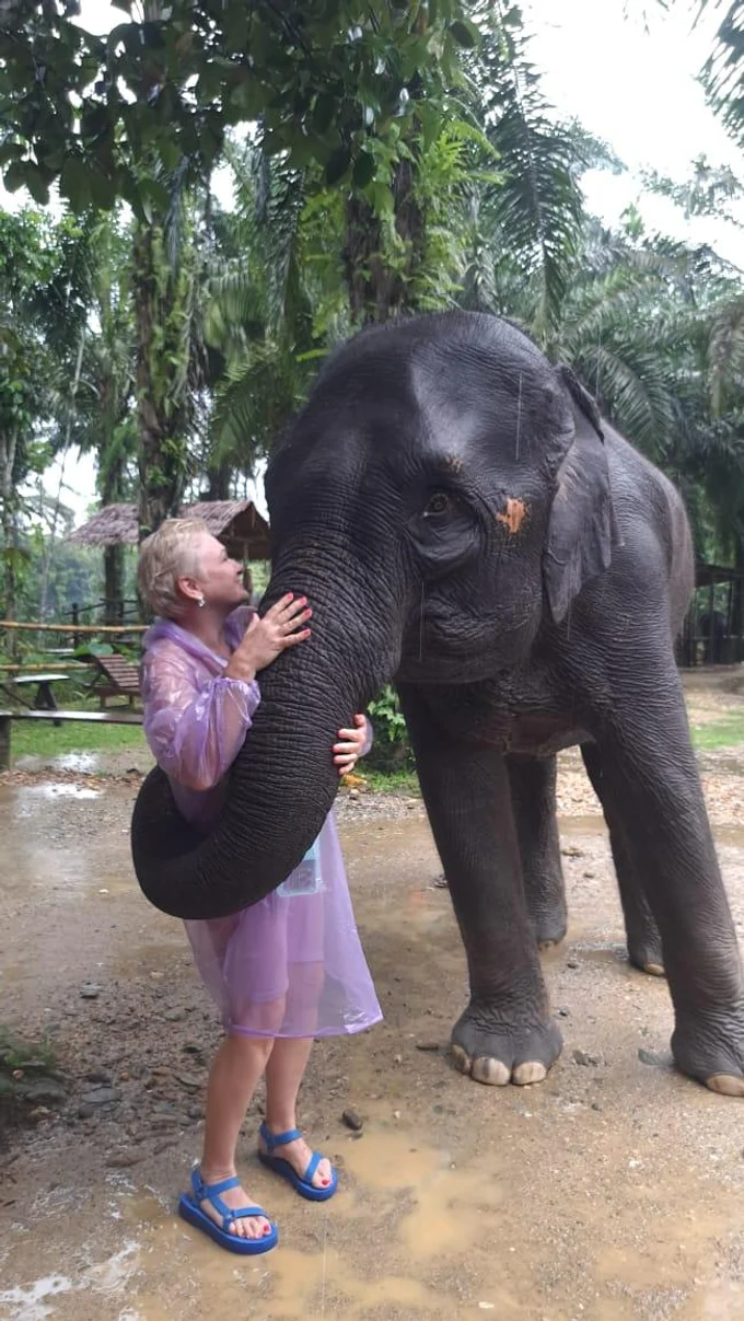 Сафари, после которого дети забудут про телефоны