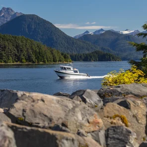 Круизы морские и речные